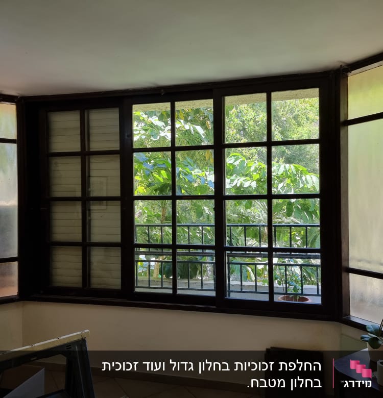 חלונות זכוכית גדולים עם מסגרות עץ כהות